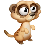Brown Meerkat Cub