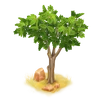Acacia pequeña
