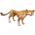 Yellow Cheetah.png