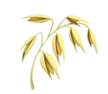 Avena Lvl 119
