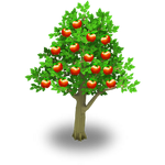 Apple Tree