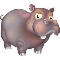 Ippopotamo grigio