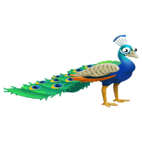 Blue peacock