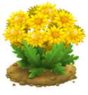 Nectar bush