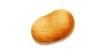 Potato