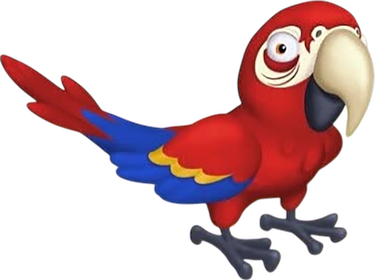 Красный ара