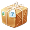 Small Mystery Package