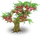 Вишня