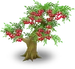 Вишня