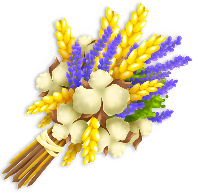 Букет полевых цветов