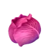 Cabbage