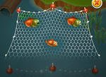 Fish in a net