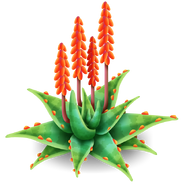 Aloe Plant Tree (Grey)