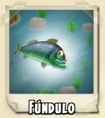 Fúndulo en el libro de pesca