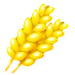 Wheat