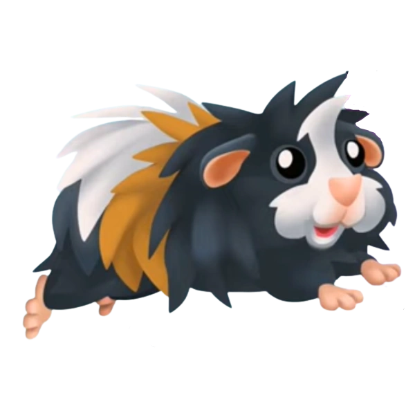 Морская свинка мини-як