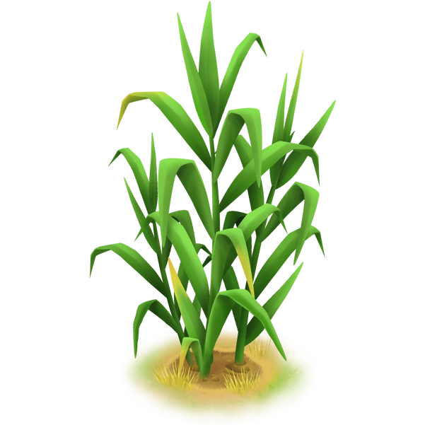 Высокая трава