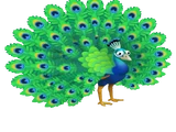 Pavo real azul