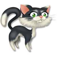 Tuxedo cat