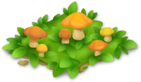 Грибная дорожка