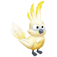 Sulphur Crested Cockatoo
