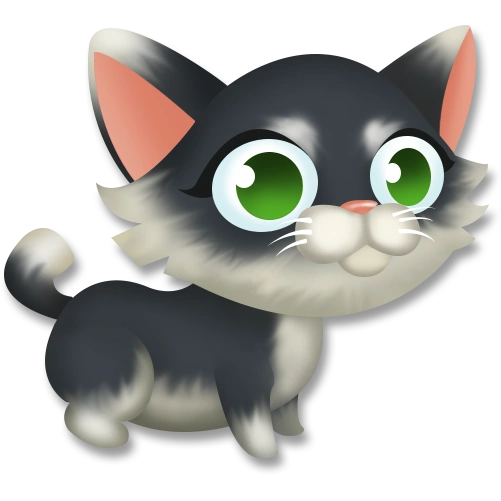 Чёрно-белый котёнок