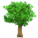 Leafy tree