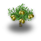 Olivenbaum | Hay Day Wiki | Fandom