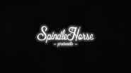 SpindleHorse -presents-