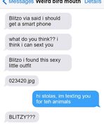 （ブリッツ　ヴィアがスマホを持つべきだと言うんだ）（どう思う？　セクスティング（性的なメッセージのやり取りのこと）できるとおもうんだけれど）（ブリッツ　こんなセクシーな衣装見つけたんだけどどう思う）（ブ：おいストラス　動物のためにお前に連絡したぞ）（ブリッツィ？）よし、動物のために300$集めたぞ。だからストラスに連絡して欲しかったんだろ？　奴も目が覚めたんだろ、すぐ返事くれたし。とにかく、次は俺の募金活動に参加したいか聞いてみる o3o とにかく、動物に寄付しろ。