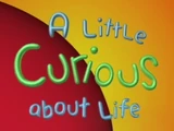 A Little Curious About Life
