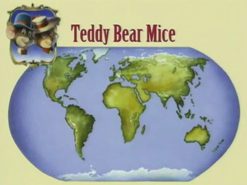Teddy mice discount