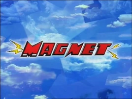 Magnet