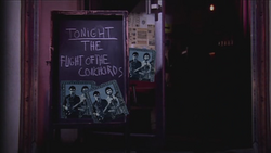 Flight of the Conchords