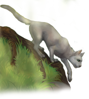 Кот.png