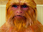 Monkey.jpg