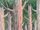 Wheel-tree
