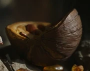 An opened seed-pod, allowing Mary Malone to see Dust with its oil.