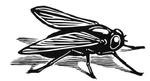 A spy-fly