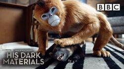 Brutal_dæmon_battle_between_Lyra's_Pan_and_Mrs_Coulter's_daemon_His_Dark_Materials_-_BBC