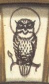 Owl.jpg