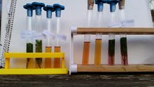 Test tubes