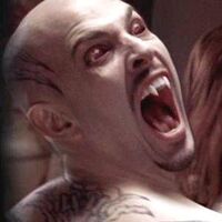 True Blood The First Taste Headhunter S Holosuite Wiki Fandom