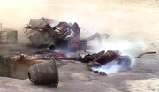 Tragic homecoming
