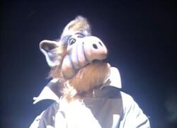 Alf (série télévisée) — Wikipédia