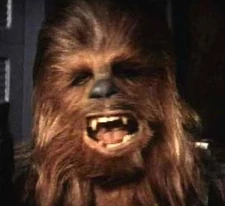 Chewbacca 002