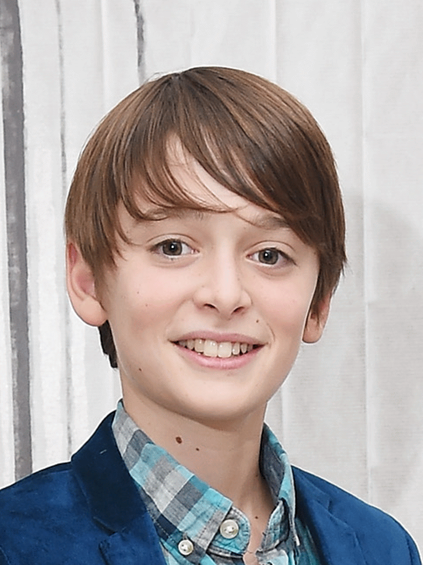 Noah Schnapp, Wiki