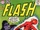 Flash 127