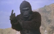 Even  flip the bird!