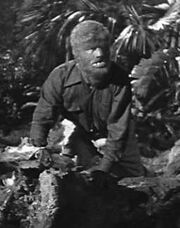 The Wolf Man is on the prowl.